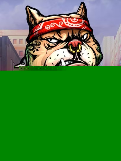 The Big Dawgs